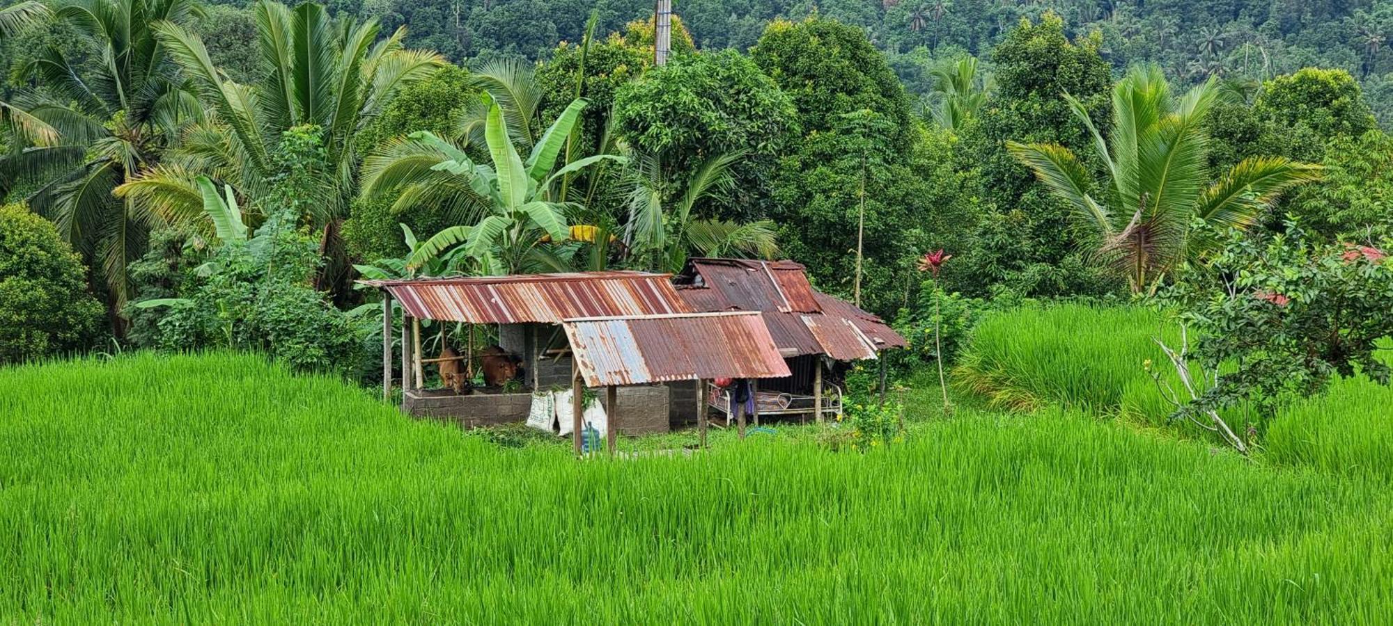 Utopiaku - Munduk Highlands Villa Exterior photo